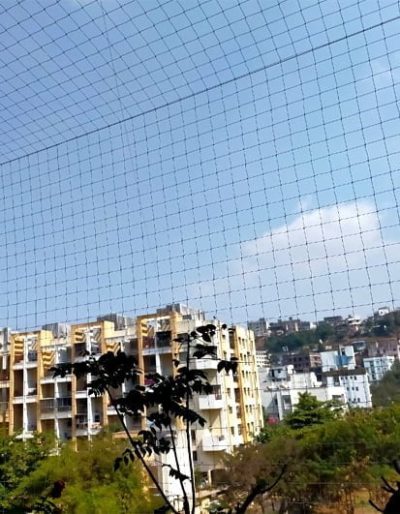 Window Bird Nettting Window Bird Nettting